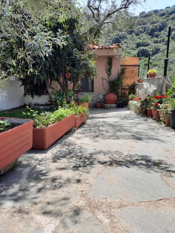 منزل الضيف Nea Iraklitsa  في Theodoras House المظهر الخارجي الصورة