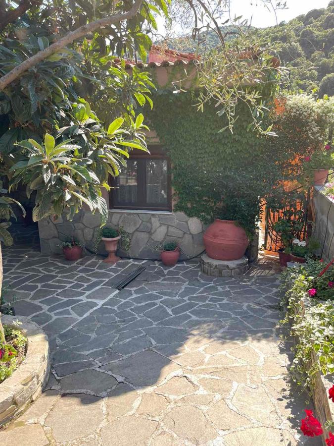 منزل الضيف Nea Iraklitsa  في Theodoras House المظهر الخارجي الصورة